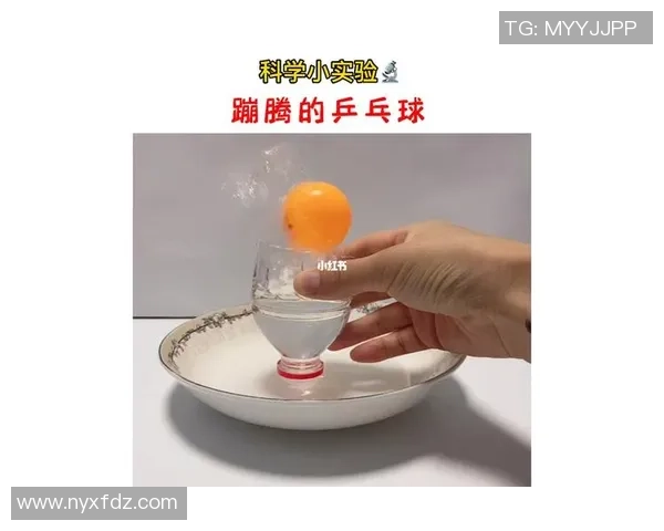 科学乒乓球：技术训练方法